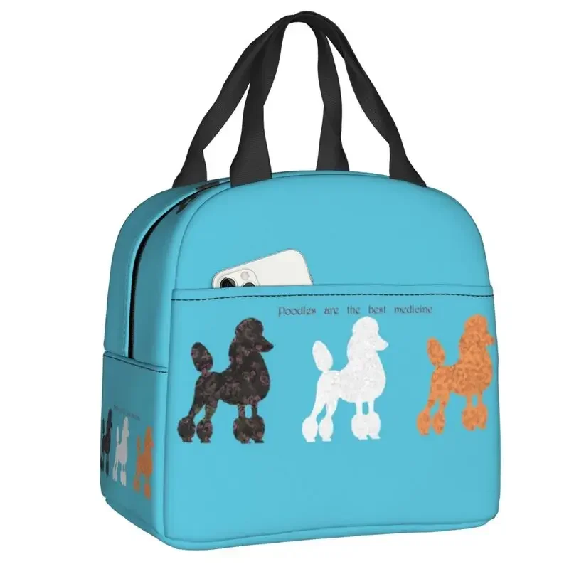 Women'S Best Bags For Work - Frankrijk Standaard Poedel Geïsoleerde Lunchtas voor